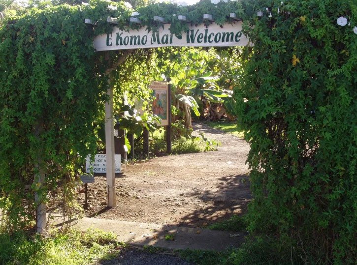 Amy Greenwell Ethnobotanical Garden, United States